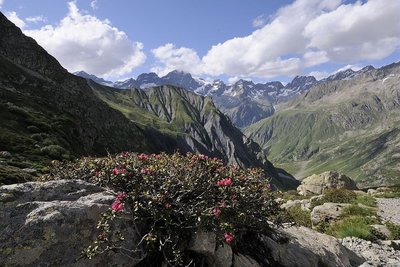 Haute Séveraisse et la vue sur les Rouies