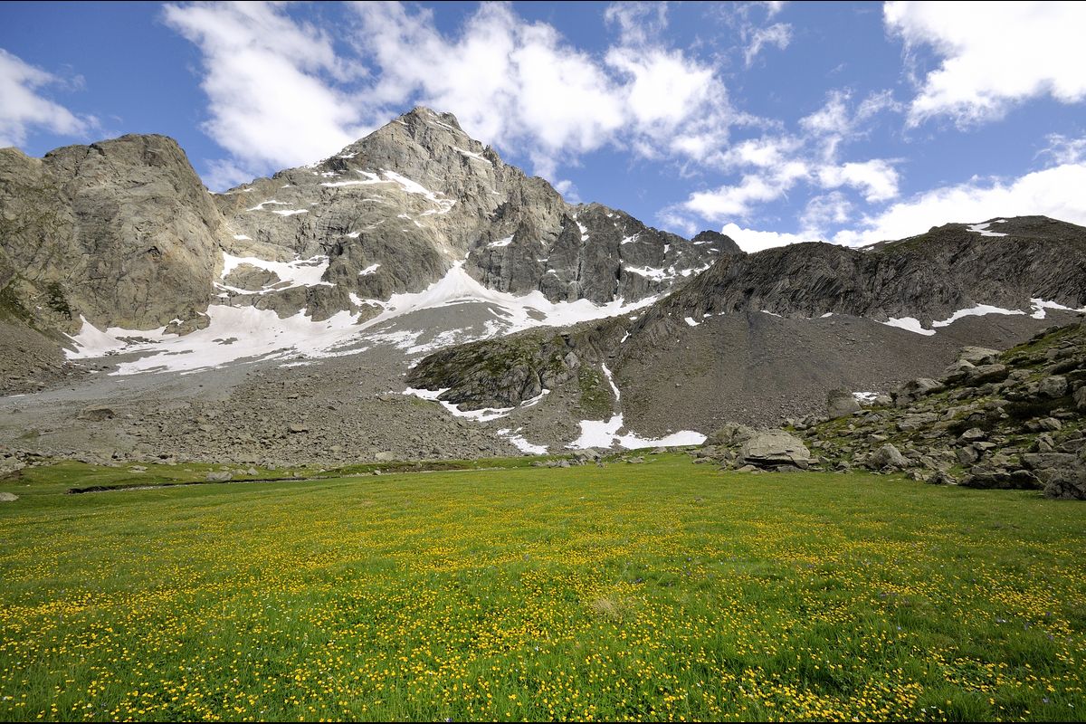 Tapie fleuri au pieds du Sirac, depuis Vallonpierre