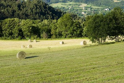 Champ fauché et balles rondes de foin à Beaurepaire