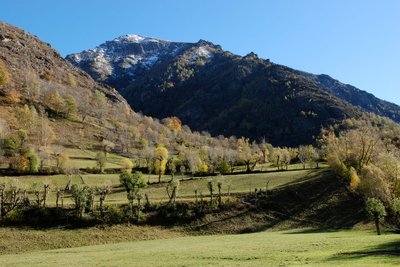 Haies et frênes de la vallée de la Roizonne