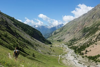 Sur le chemin du col de l'Eychauda (GR54)