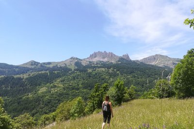 Passage dans un prés avec vue  sur le Pic de Chabrières