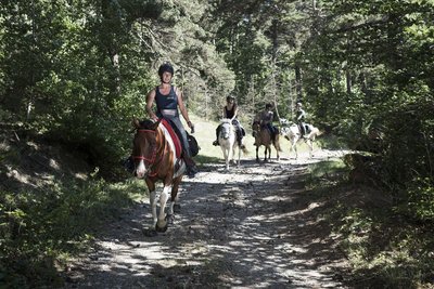 Randonneurs sur un sentier dans les bois