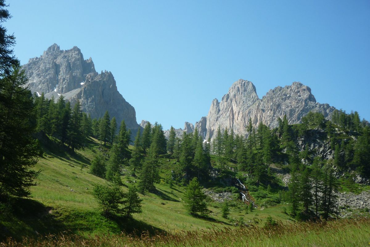 Le Chardonnet