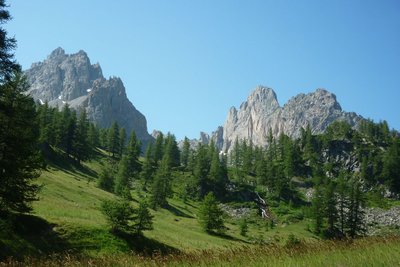 Le Chardonnet