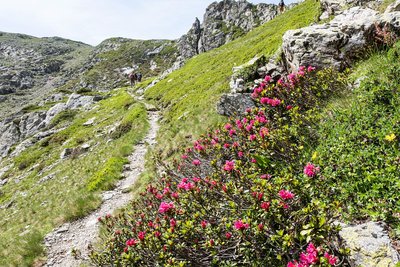 Traversée vers le col de Colombes