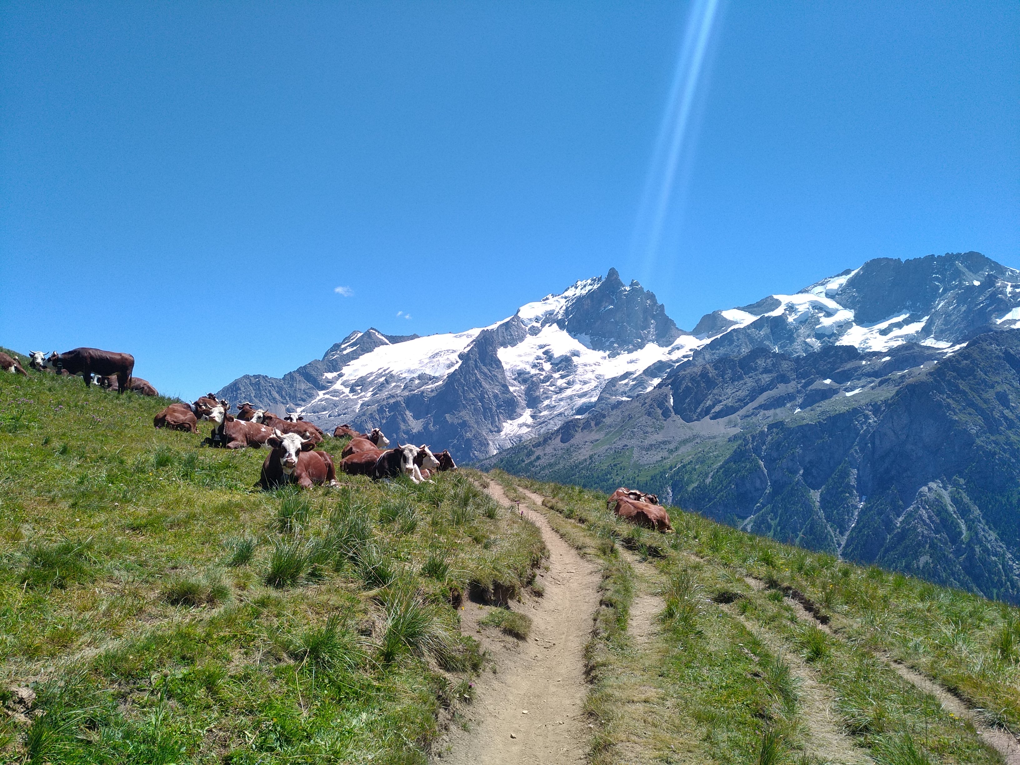 Traversée d'Alpage