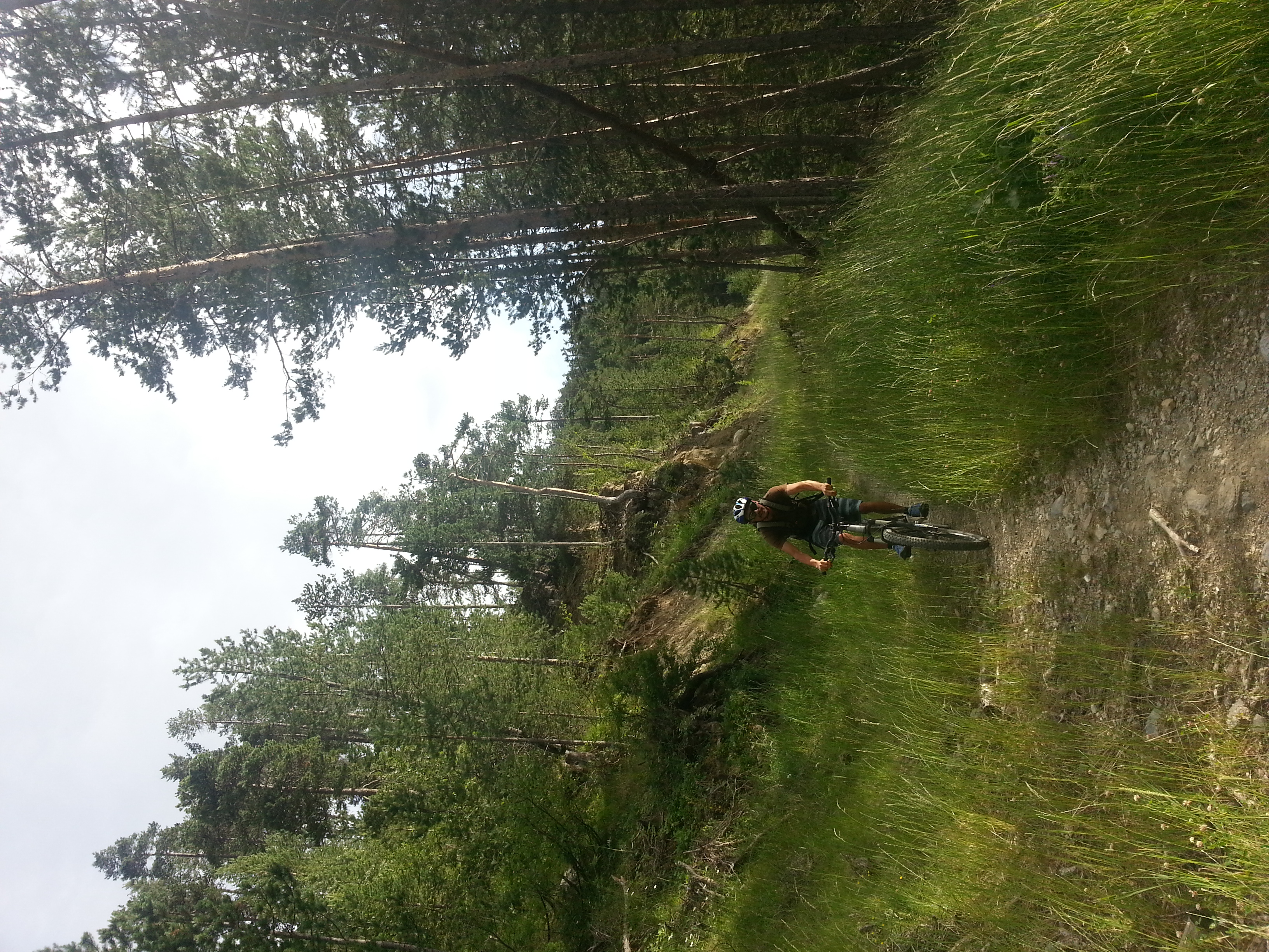 Vététiste en forêt