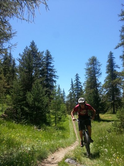 Vététiste en forêt
