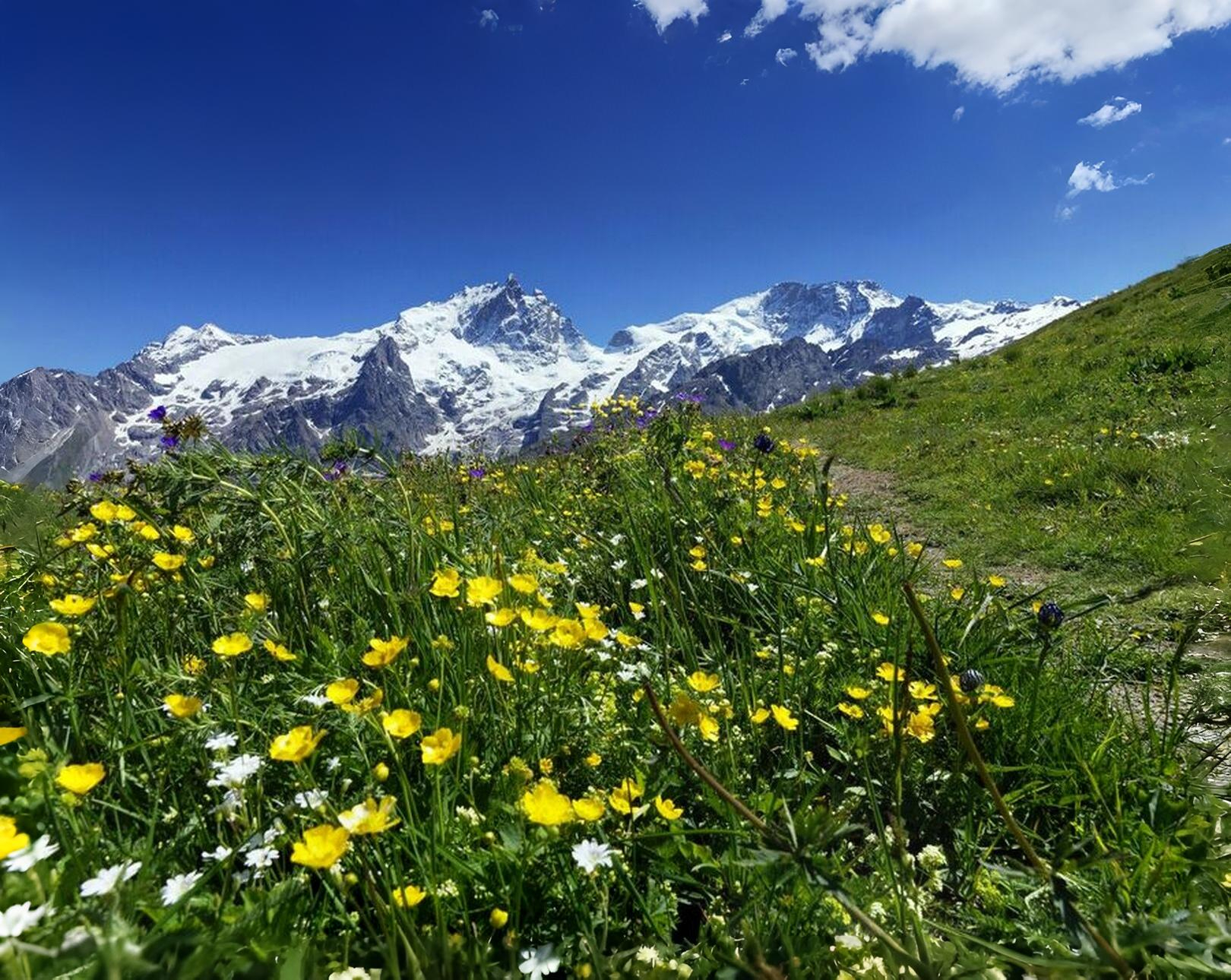 La Meije depuis le sentier de Clos Raffin au Chazelet