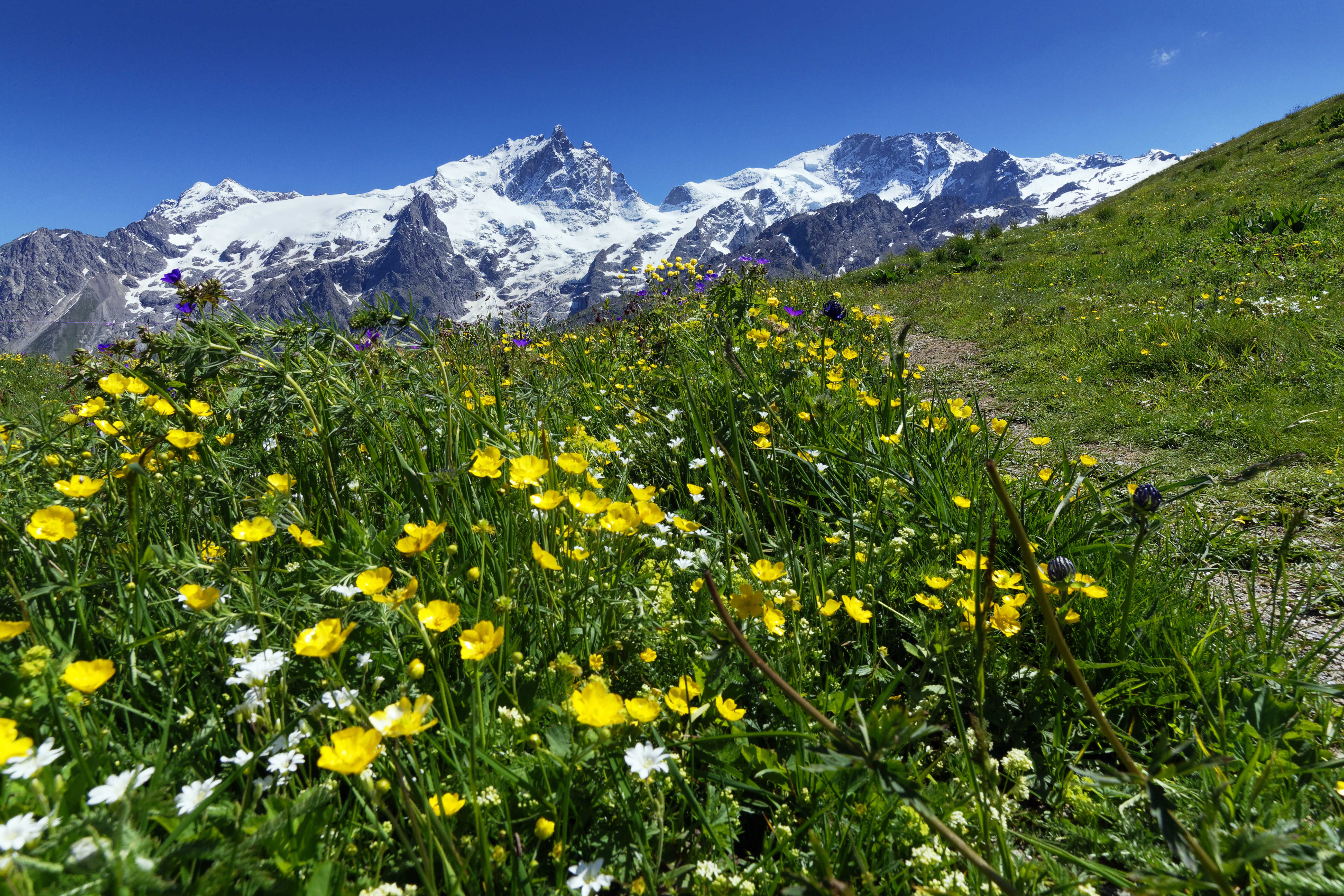 La Meije depuis sentier Clot Raffin