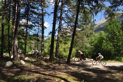 Balade en VTT dans les bois