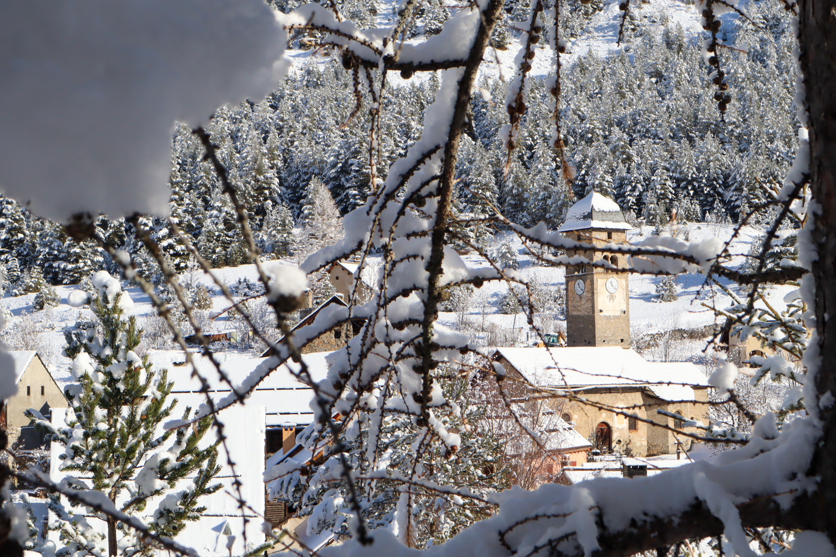 Plampinet en hiver